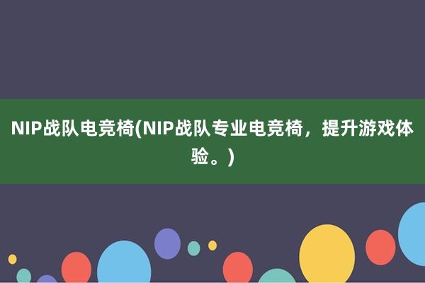 NIP战队电竞椅(NIP战队专业电竞椅，提升游戏体验。)