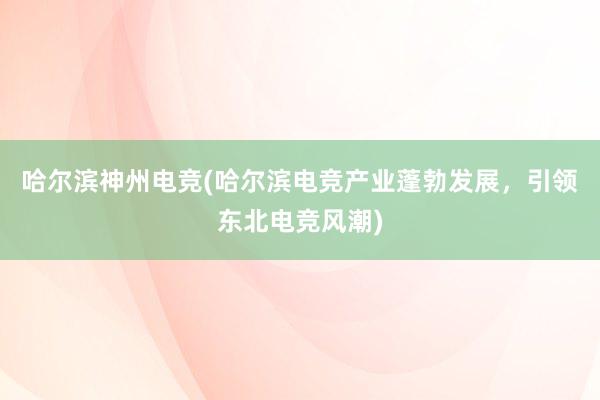 哈尔滨神州电竞(哈尔滨电竞产业蓬勃发展，引领东北电竞风潮)