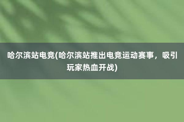 哈尔滨站电竞(哈尔滨站推出电竞运动赛事，吸引玩家热血开战)