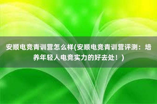 安顺电竞青训营怎么样(安顺电竞青训营评测：培养年轻人电竞实力的好去处！)