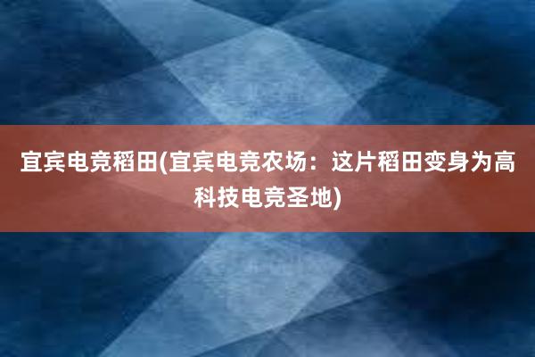 宜宾电竞稻田(宜宾电竞农场：这片稻田变身为高科技电竞圣地)