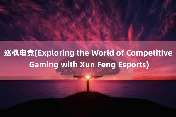 巡枫电竞(Exploring the World of Competitive Gaming with Xun Feng Esports)