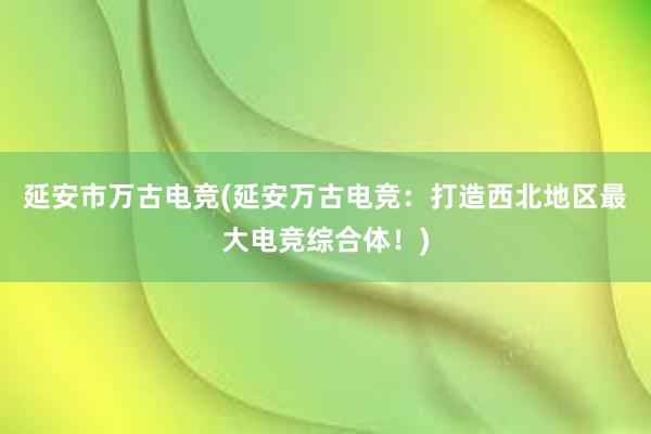 延安市万古电竞(延安万古电竞：打造西北地区最大电竞综合体！)