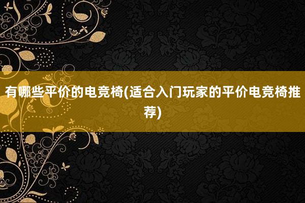 有哪些平价的电竞椅(适合入门玩家的平价电竞椅推荐)