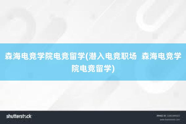 森海电竞学院电竞留学(潜入电竞职场  森海电竞学院电竞留学)