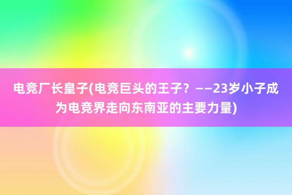 电竞厂长皇子(电竞巨头的王子？——23岁小子成为电竞界走向东南亚的主要力量)