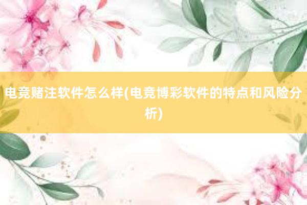 电竞赌注软件怎么样(电竞博彩软件的特点和风险分析)