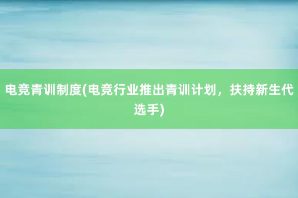 电竞青训制度(电竞行业推出青训计划，扶持新生代选手)