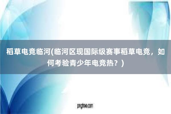 稻草电竞临河(临河区现国际级赛事稻草电竞，如何考验青少年电竞热？)