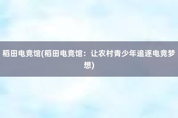 稻田电竞馆(稻田电竞馆：让农村青少年追逐电竞梦想)