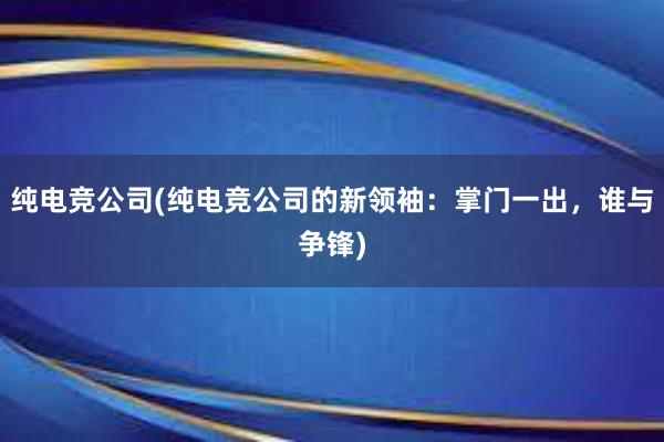 纯电竞公司(纯电竞公司的新领袖：掌门一出，谁与争锋)