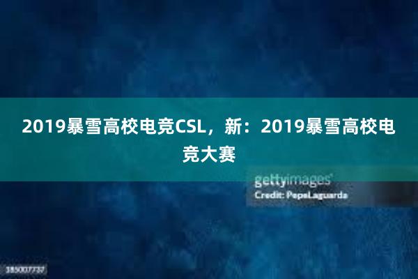 2019暴雪高校电竞CSL，新：2019暴雪高校电竞大赛