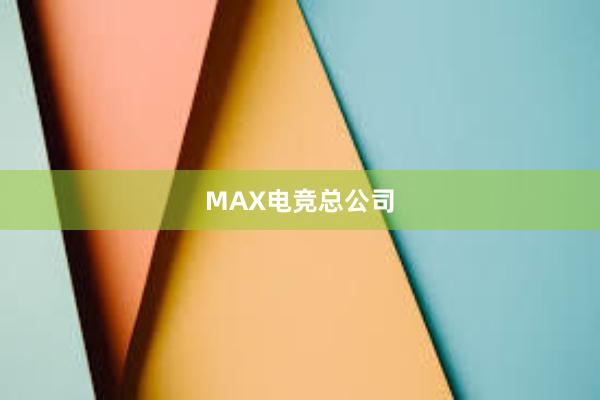 MAX电竞总公司