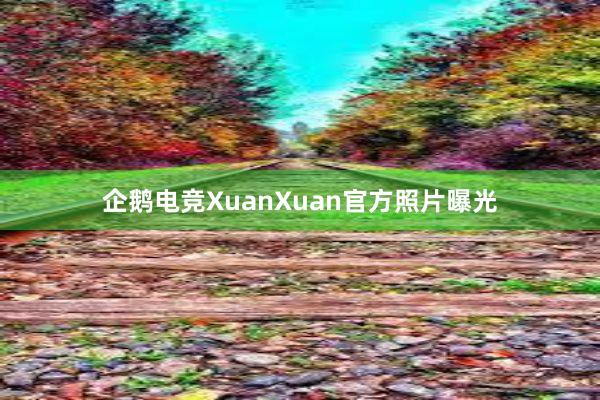 企鹅电竞XuanXuan官方照片曝光