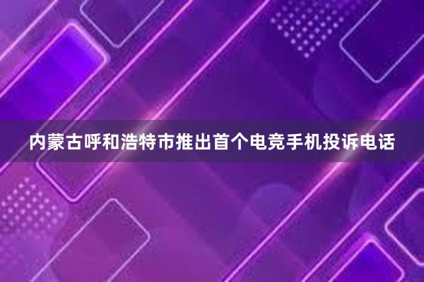 内蒙古呼和浩特市推出首个电竞手机投诉电话