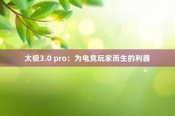 太极3.0 pro：为电竞玩家而生的利器