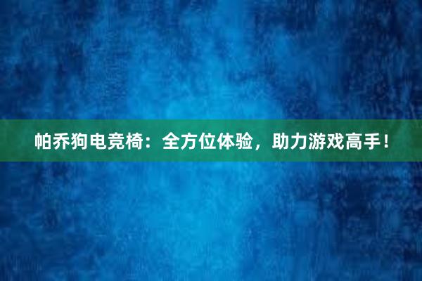 帕乔狗电竞椅：全方位体验，助力游戏高手！