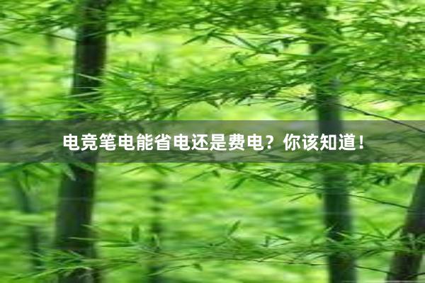 电竞笔电能省电还是费电？你该知道！