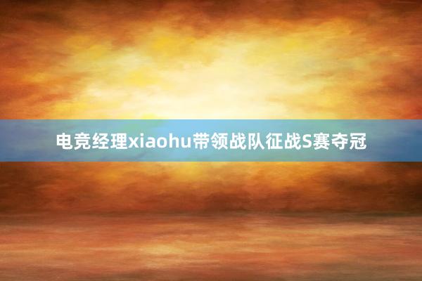 电竞经理xiaohu带领战队征战S赛夺冠