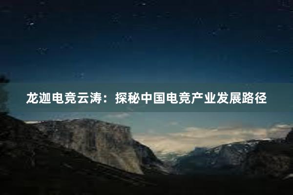 龙迦电竞云涛：探秘中国电竞产业发展路径